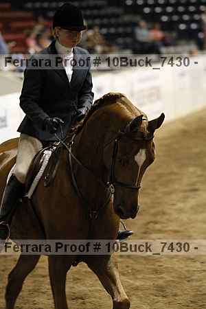 Proof 10buck_7430