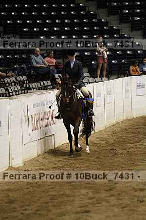 Proof 10buck_7431