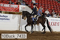 10buck_7433 proof