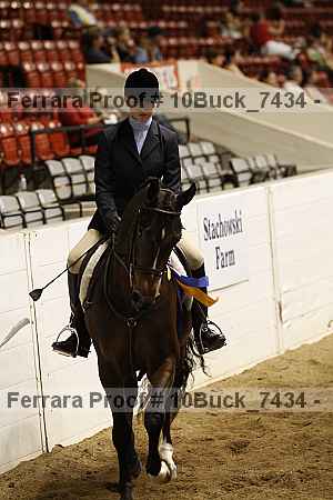 Proof 10buck_7434