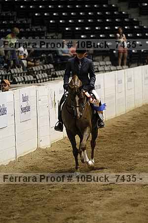 Proof 10buck_7435