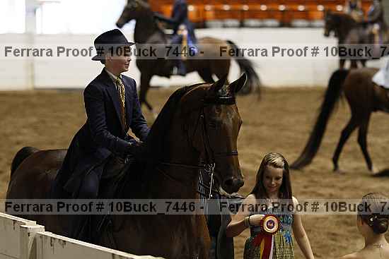 Proof 10buck_7446