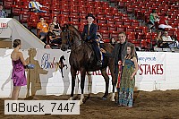 10buck_7447 proof