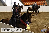 10buck_7459 proof