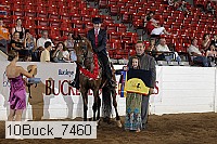 10buck_7460 proof