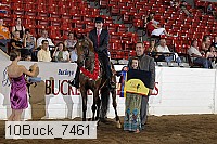 10buck_7461 proof