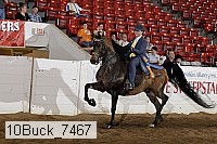 10buck_7467 proof