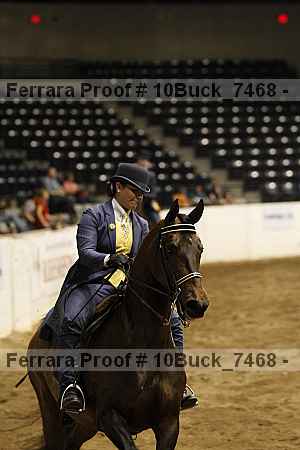 Proof 10buck_7468