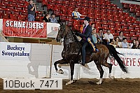 10buck_7471 proof
