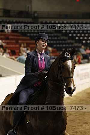 Proof 10buck_7473