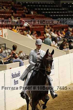 Proof 10buck_7485