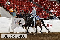 10buck_7486 proof