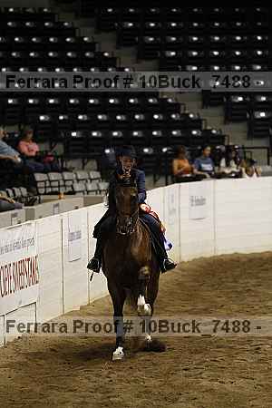Proof 10buck_7488