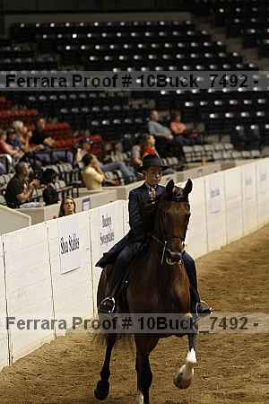 Proof 10buck_7492