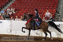 10buck_7499 proof