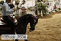 10buck_7504 proof