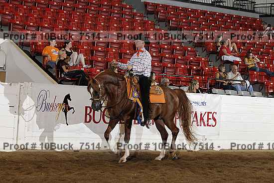 Proof 10buck_7514
