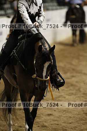 Proof 10buck_7524