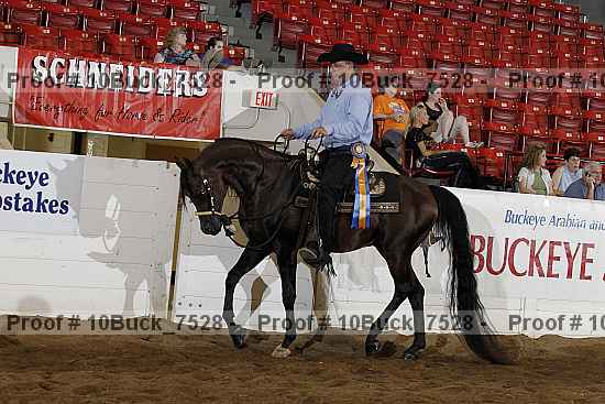 Proof 10buck_7528