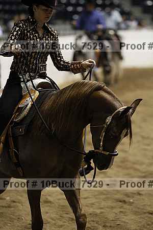 Proof 10buck_7529