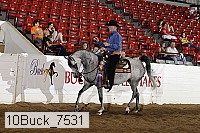 10buck_7531 proof