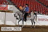 10buck_7532 proof