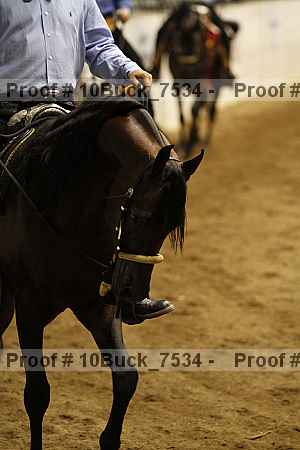 Proof 10buck_7534