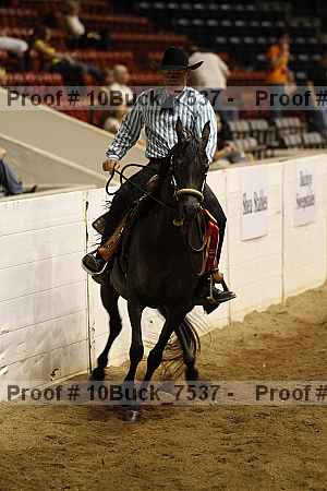 Proof 10buck_7537