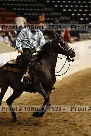 Proof 10buck_7539