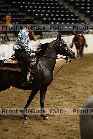 Proof 10buck_7540