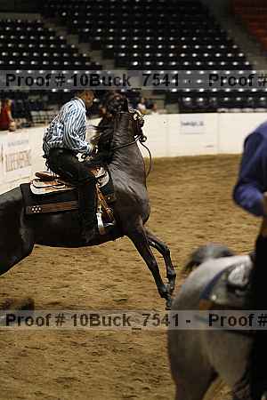 Proof 10buck_7541