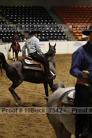 Proof 10buck_7542