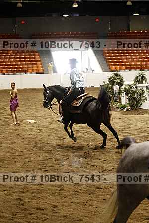 Proof 10buck_7543