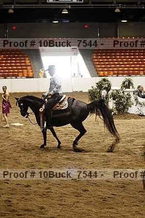 Proof 10buck_7544