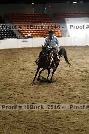 Proof 10buck_7546