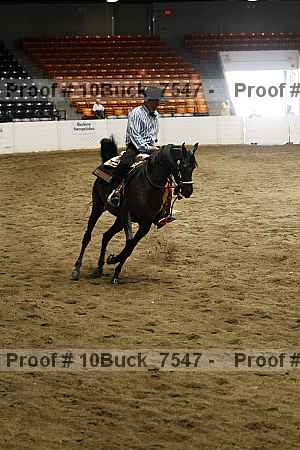 Proof 10buck_7547