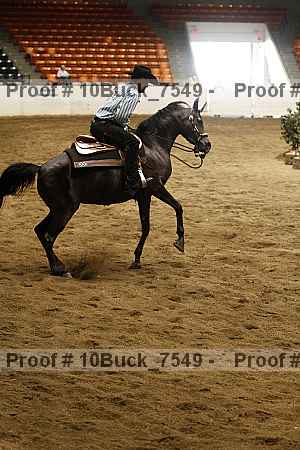 Proof 10buck_7549