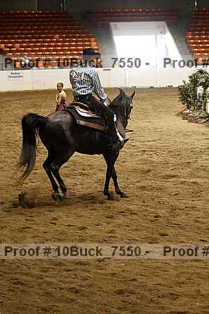 Proof 10buck_7550
