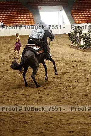 Proof 10buck_7551