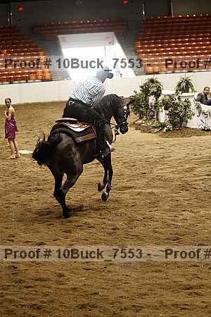 Proof 10buck_7553