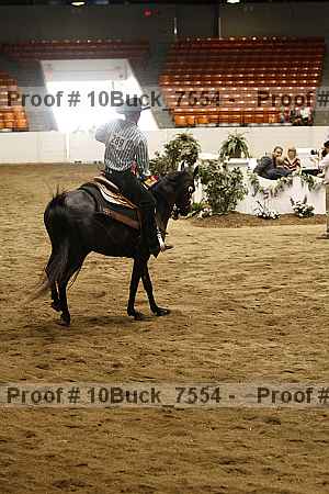 Proof 10buck_7554