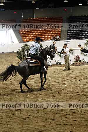 Proof 10buck_7556