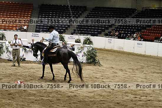 Proof 10buck_7558