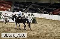 10buck_7558 proof