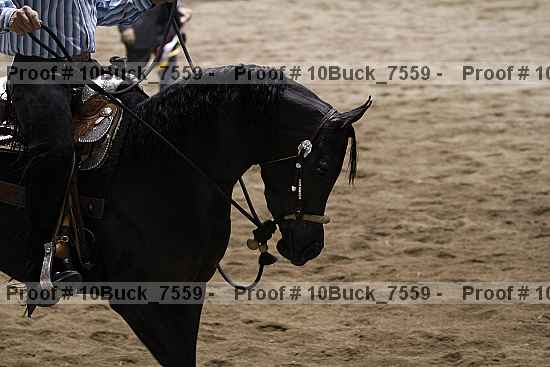 Proof 10buck_7559