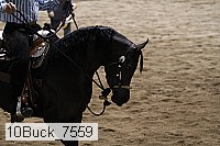 10buck_7559 proof