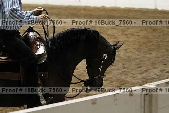 Proof 10buck_7560
