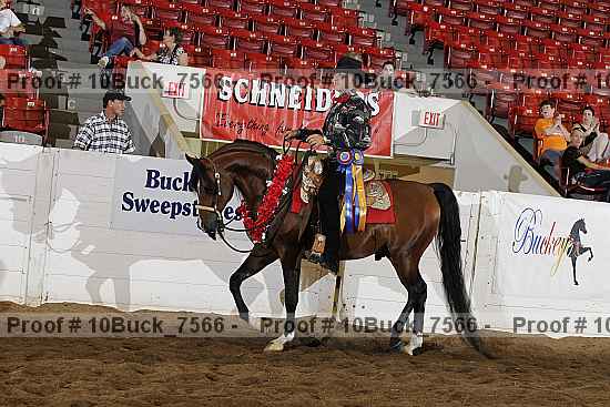 Proof 10buck_7566