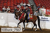 10buck_7567 proof