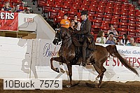 10buck_7575 proof